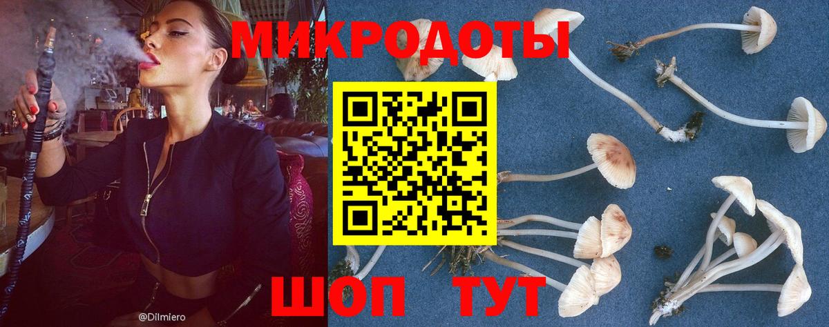 Галлюциногенные грибы Magic Shrooms  Псилоцибиновые грибы мицелий  Гусь-Хрустальный  Вход с VPN 